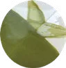 Olive Era