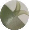 Olive Era