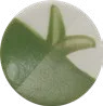 Green Dream