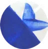 C'Ote Azure
