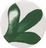 Hunter Green