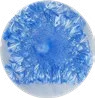 Spica