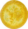 Solaris